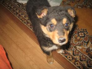 ����� � ������ ���� �����-�����������