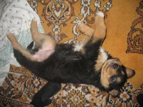 ����� � ������ ���� �����-�����������