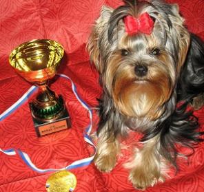 ����� ����� ����,��������� � ���������.