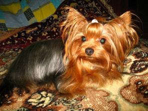 ����� ����� ����,��������� � ���������.