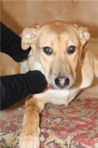 ������ � ����, ������� �������� ���� ������.