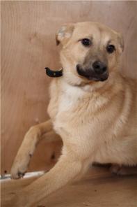 ������ � ����, ������� �������� ���� ������.