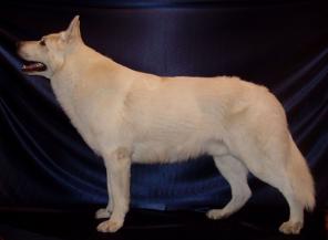 ������ ����� ����������� ������� ��� ����.�������������.