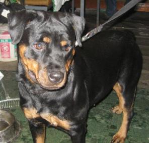 ��������� ���� ��� �������