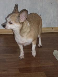 ����� �������� ������� ��������