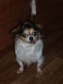 ����� �������� ������� ��������