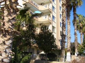 ���� �������� � �������!