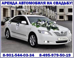 ������ ���������� �� ������� � ��������!