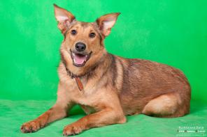 ��������� ������ ����� �������� � ���!