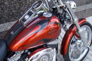 Harley-Davidson FXSTC SOFTAIL CUSTOM
