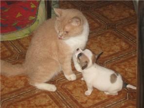 �������� ����� ������� ����