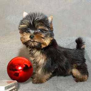 ������� � �������� �����