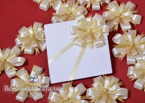 ��������� �����������.