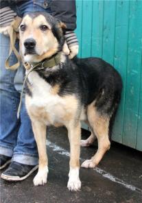 ���� - ����������� � ����� ������� ���� ���!