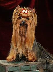 ������������ ������� ����� � ������ ��� �����