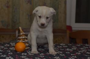 ����� ����� ��������� � ���