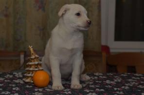 ����� ����� ��������� � ���