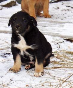 ����� ������ ����� ������� � ���