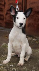 ����� ������ �� ������ ���� ����� ������