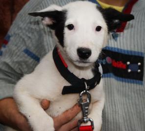 ����� ������ �� ������ ���� ����� ������