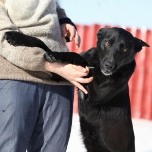 ����- ��������, ������ � ���������� ������ � ������ ����.