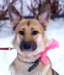 �������� � ������ ����� ���� ���!