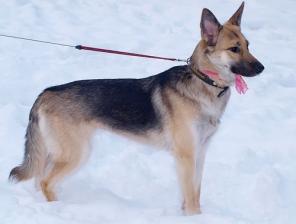 �������� � ������ ����� ���� ���!