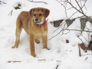 ������-��������� ���������