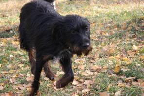 ��������� ������ - �������, ���������� � ����