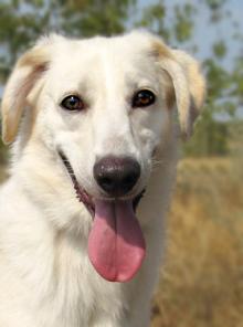 ������� ����� ����, ����� ���������, � ���.