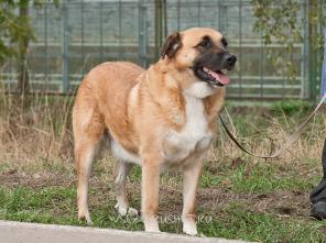 ����� � �������� �  ���������  ������� � ������ ����!