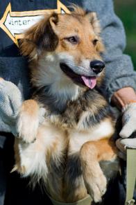 ������ (1 ��� ) � ���. ���������� � ����� � ������