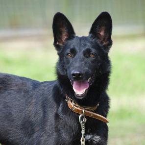 ��������� ������� ������ c ������� ������� � ����� � ������