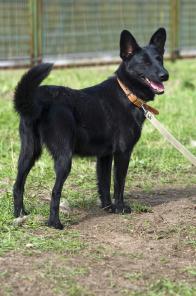 ��������� ������� ������ c ������� ������� � ����� � ������