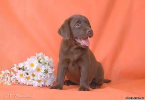 ����� ��������� ����������� � ������� ������.