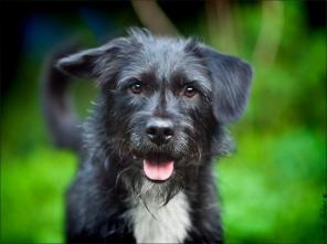 ������  �������   ����   �����������  � ������� � ���