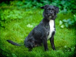 ������  �������   ����   �����������  � ������� � ���