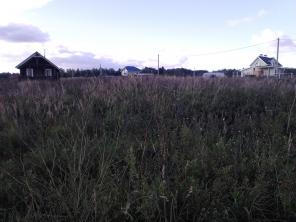 15 ����� �. ������� ��������� ����� 99 �� �� ����