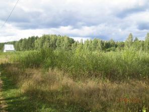 ������� 13,5 ����� �������� ����� 95 �� �� ����