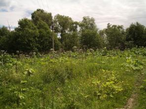 ������� 15 ����� ��������� ����� 82 �� �� ����