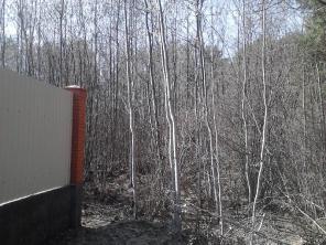 ������� 14 ����� ��������� ����� 93 �� �� ����