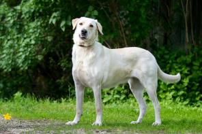 ���� ��� ������ ���������� � ������������� ������!