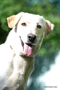 ���� ��� ������ ���������� � ������������� ������!