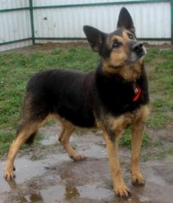 ����.����� ������� ���� ���� ���. � ���!