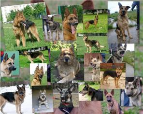 �������� � ��������-����������� ������� � ���!