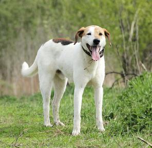 ��������� ����� � �������� ���� (�����)