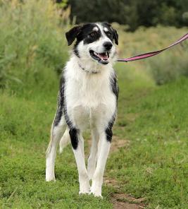 �������� ���� - ����������� ������! (����������)