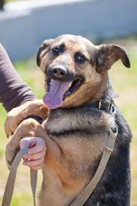 ����� - ���� �������� (�����)