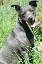 Молодая красотка Эсмеральда или просто Эсми. В дар!