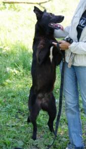 ����� - ������ ������� ���� ��� (�����)